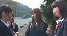 探秘天子峰柳随风攻略（揭秘隐藏在天子峰柳随风背后的奇妙之处）